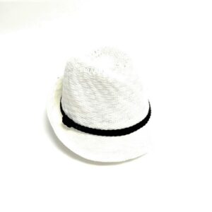 110 244 fedora small brim with suede band