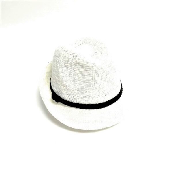 110 244 fedora small brim with suede band